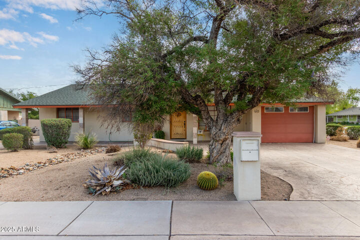 Property Photo:  815 N Evergreen Street  AZ 85225 