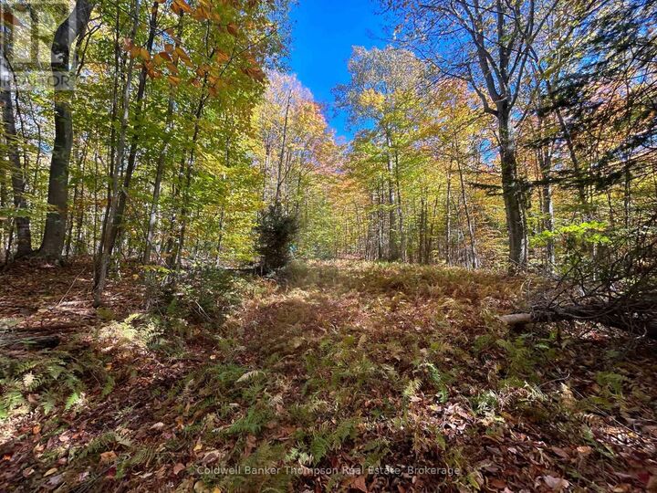 Property Photo:  833 Hamilton Lake Road  ON P0A 1X0 