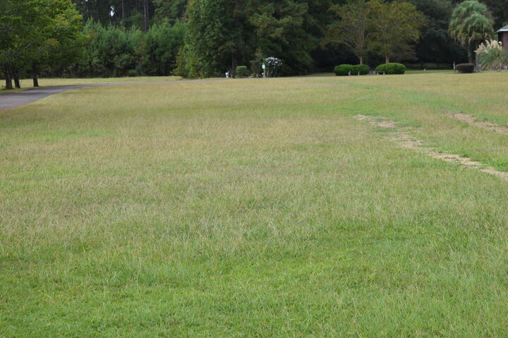 Property Photo:  01 Davis Terrace  SC 29477 