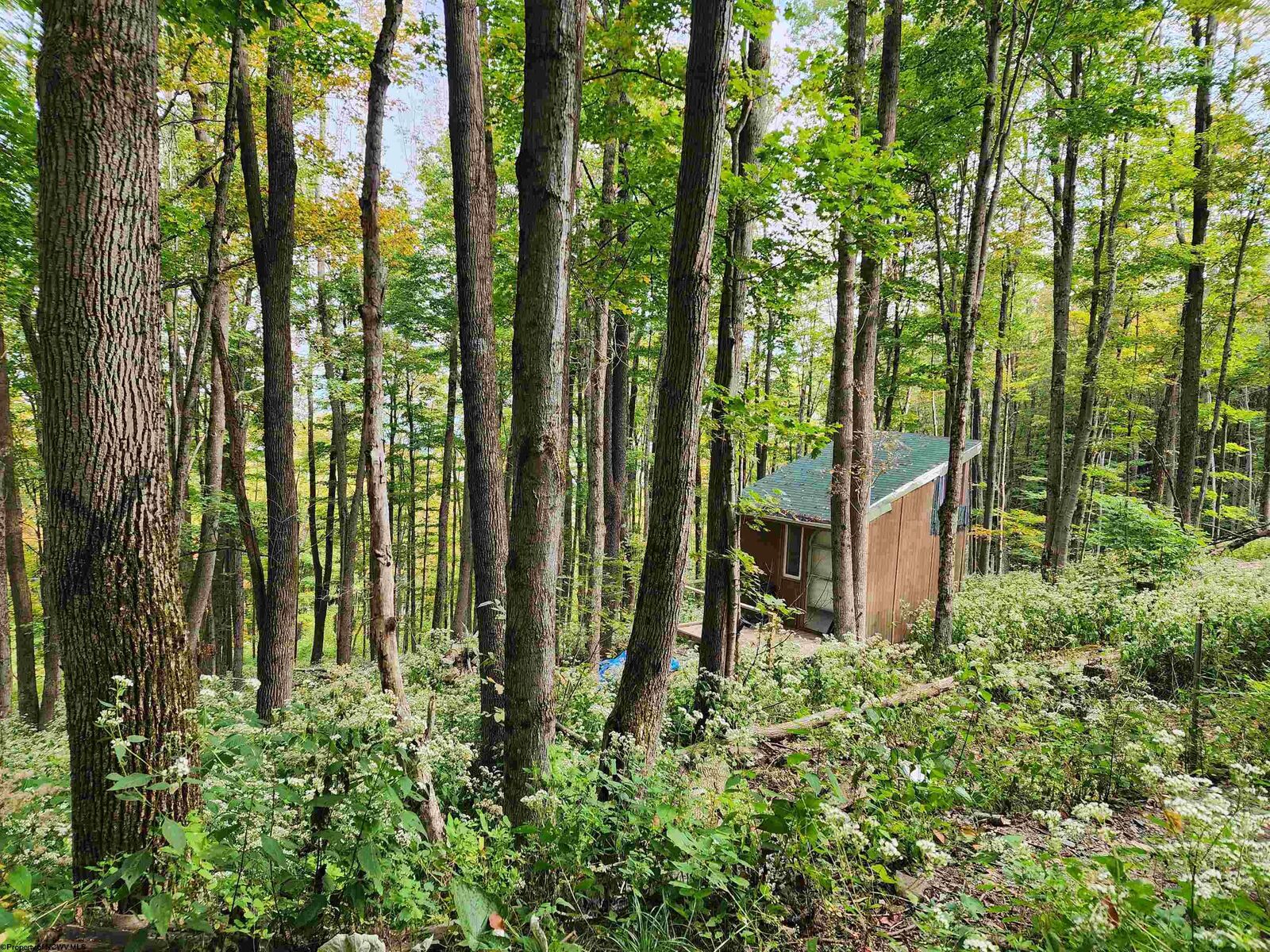 Property Photo:  37 Rocky Road  WV 26270 