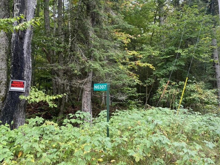 Property Photo:  6307 N Black River Road  MI 49762