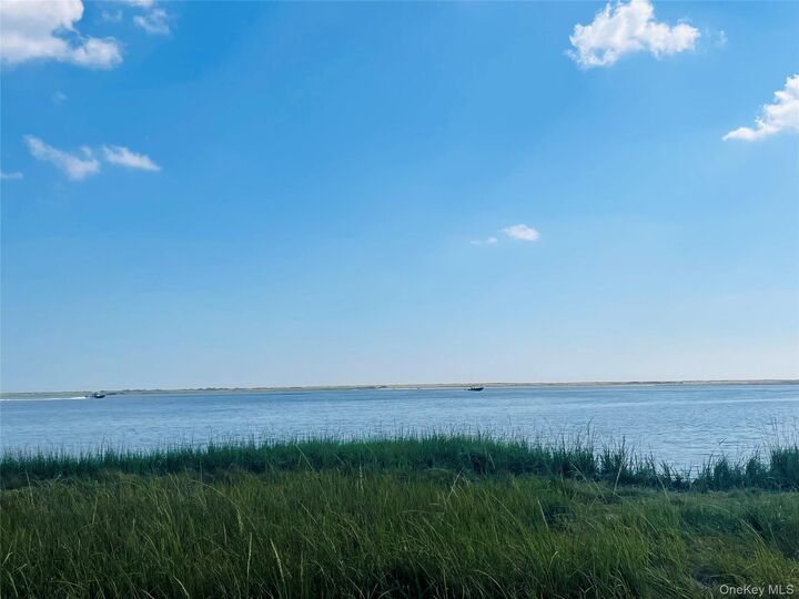 0 Dahlia Drive  Mastic Beach NY 11951 photo