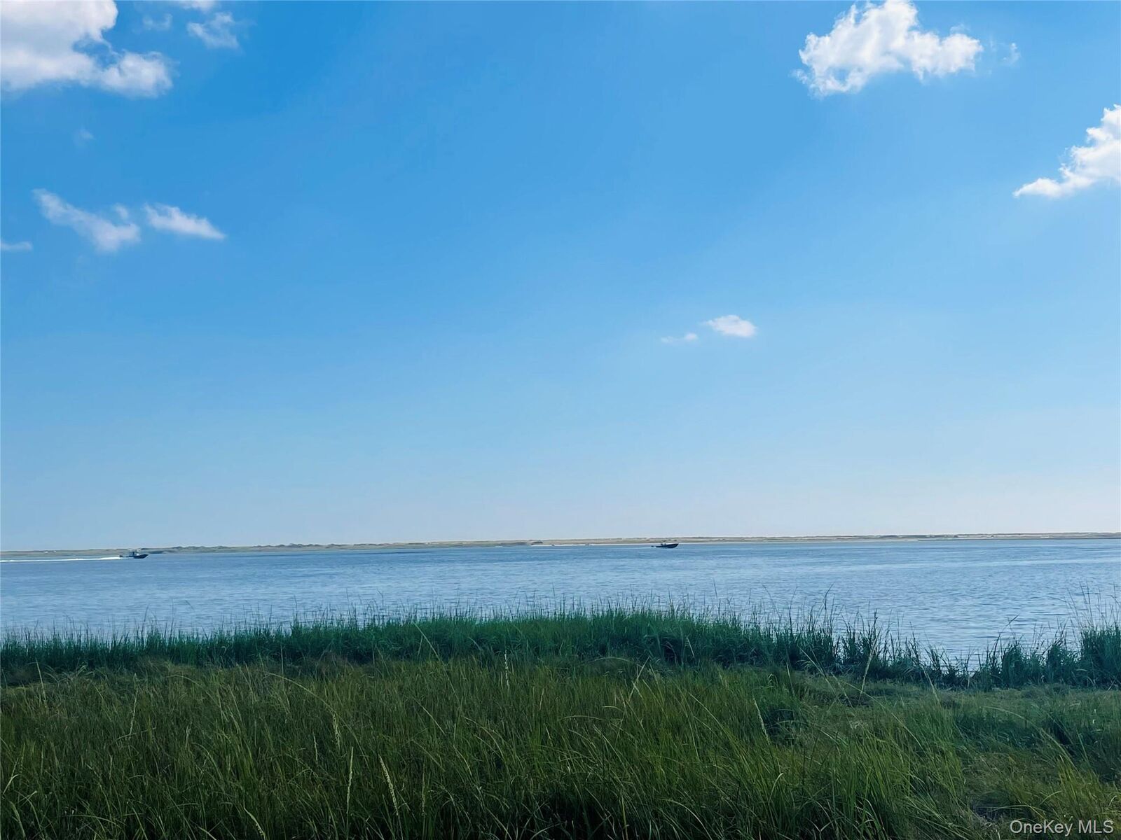 Property Photo:  0 Dahlia Drive  NY 11951 