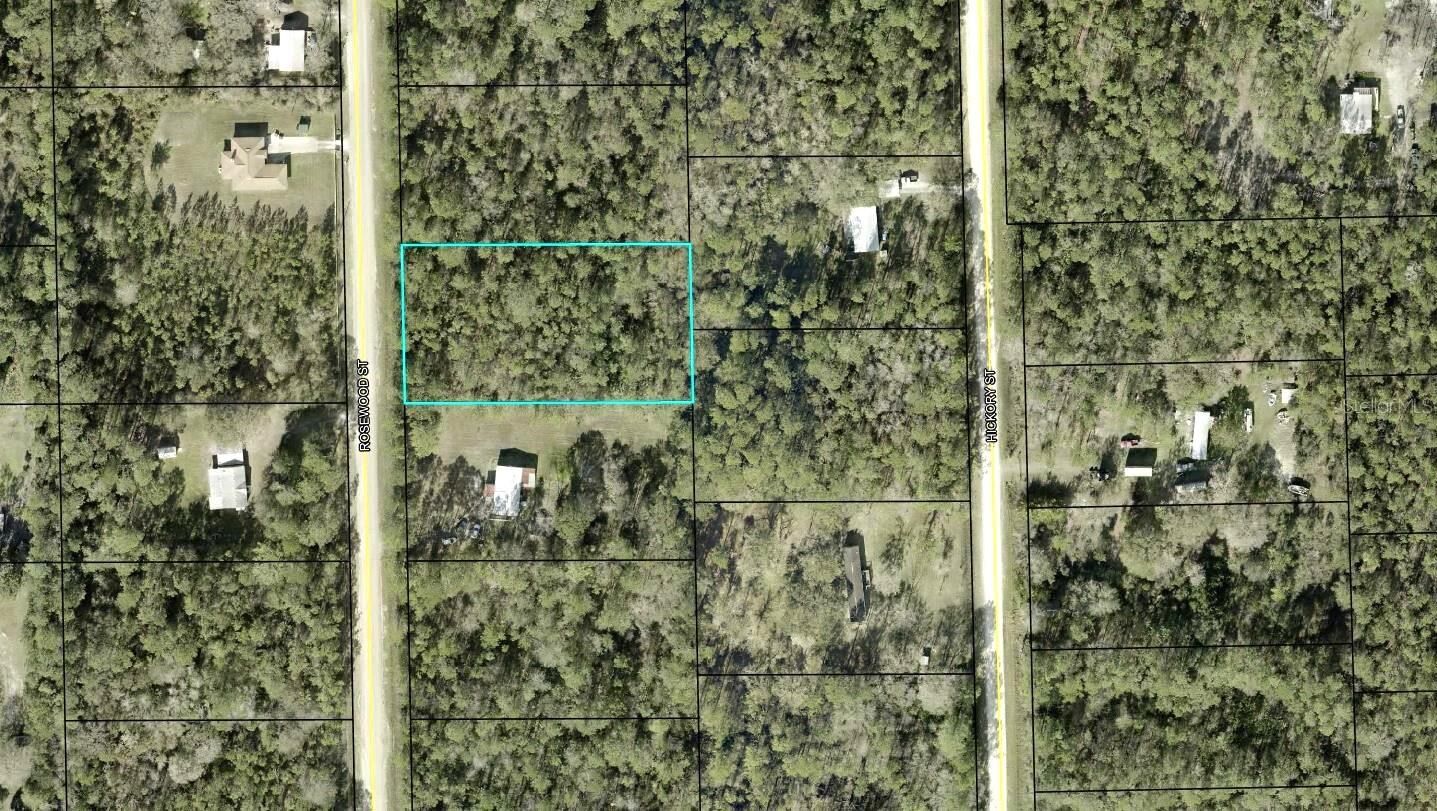Property Photo:  1259 Rosewood Street  FL 32110 