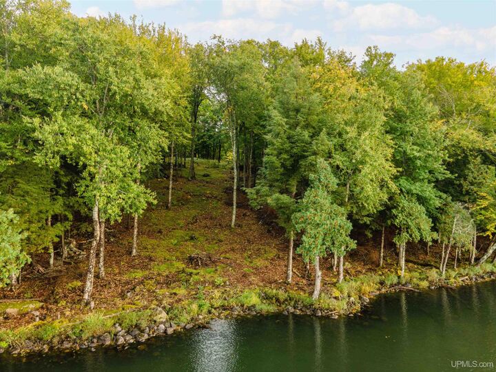 Property Photo:  Tbd Wildwood Drive  MI 49935 