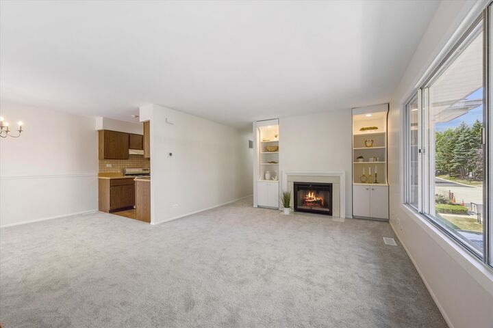 Property Photo: 383 Coventry Court 4 IL 60514