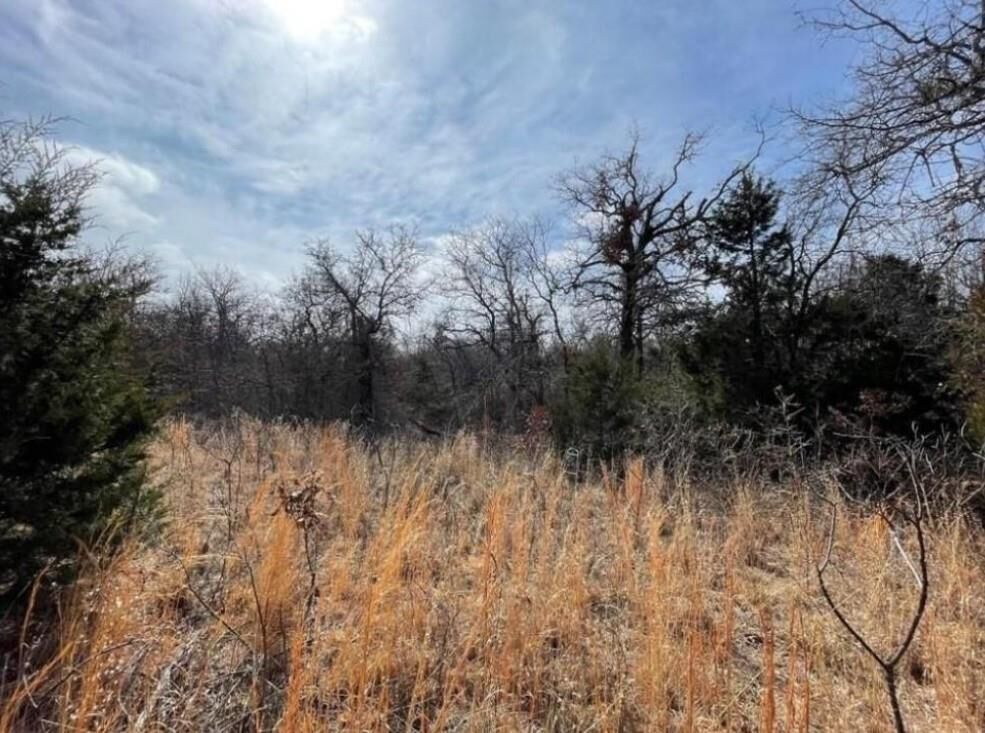 Property Photo:  Lot 14 Toad Road  OK 73045 
