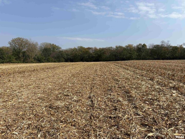 8526 Lot 92 N Thousand Dollar Road  Brimfield IL 61517 photo