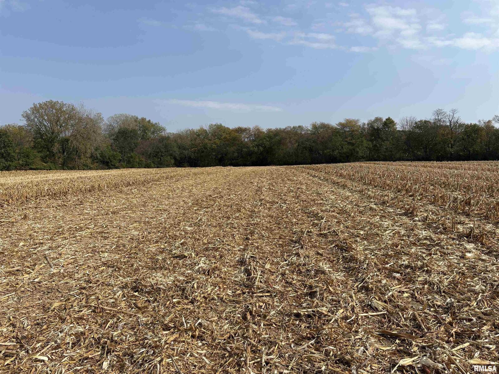 Property Photo: 8526 Lot 92 N Thousand Dollar Road IL 61517