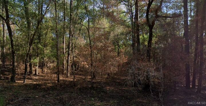 Property Photo:  857 E Toledo Drive  FL 34434 