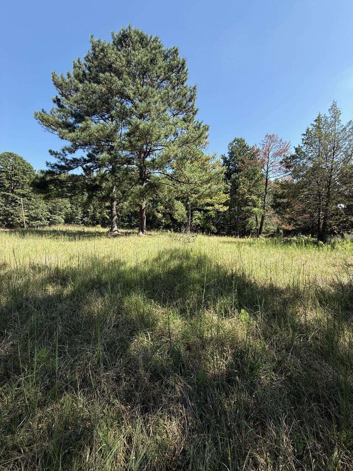 Property Photo: 0 Water Mill Road SC 29330