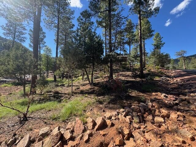 Property Photo: Lot 31 W Sage Ct AZ 85544