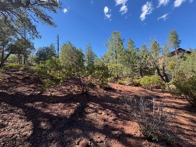 Property Photo:  Lot 31 W Sage Ct  AZ 85544 