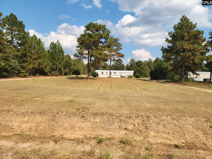 1061 Bub Shumpert  Pelion SC 29123 photo