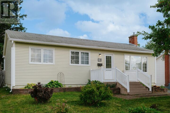 238 Elizabeth Drive  Gander NL A1V 1J2 photo