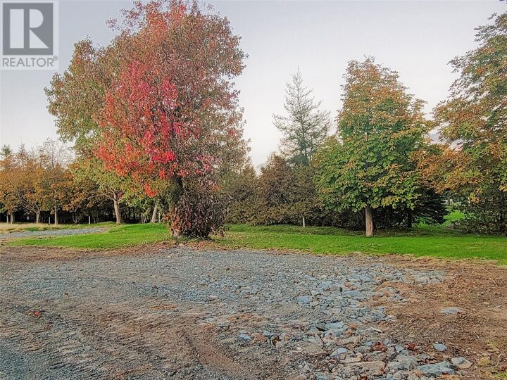 Property Photo:  399-401 Water Street  NL A0A 1G0 