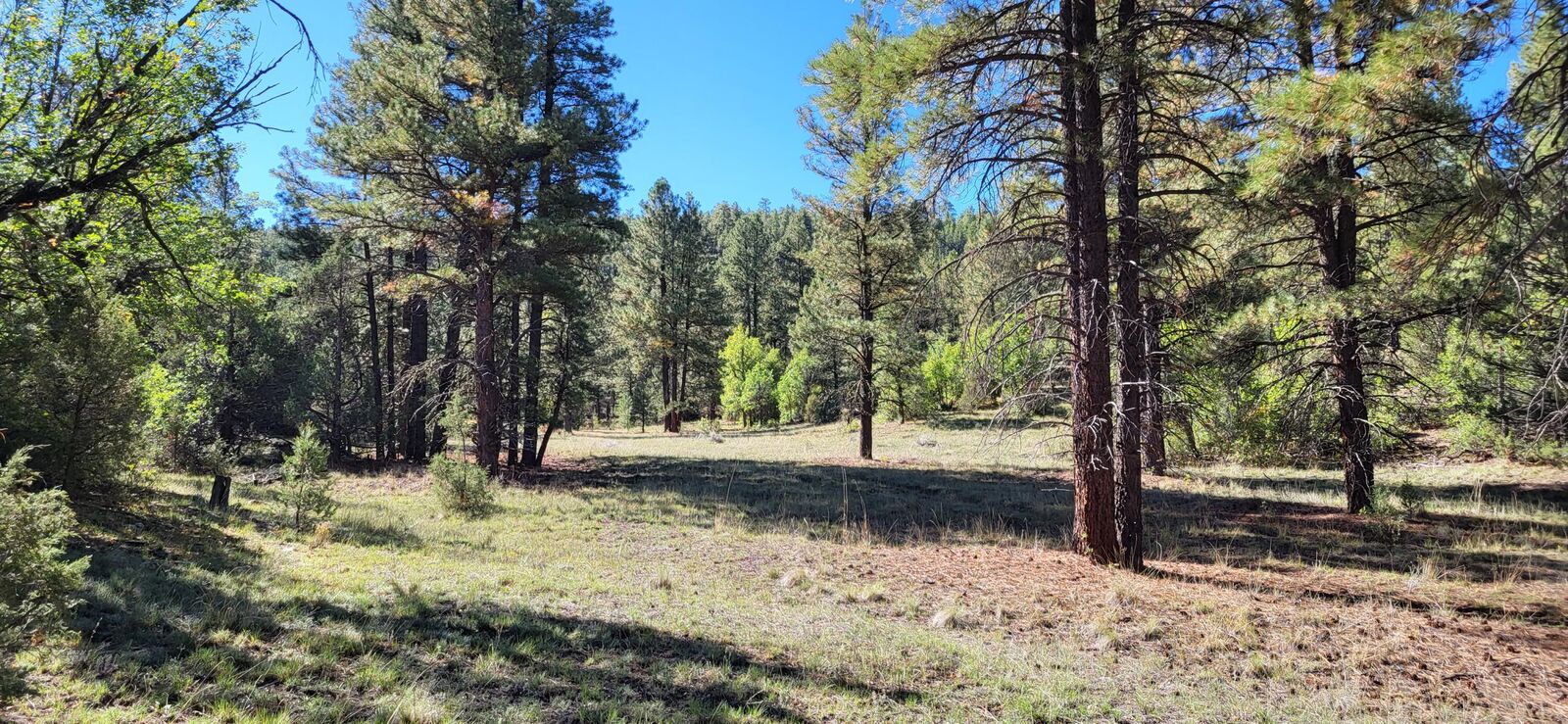 Property Photo: Tbd Sawmill Canyon Road NM 87321