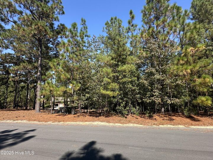 Property Photo: 19 Granger Drive NC 28374