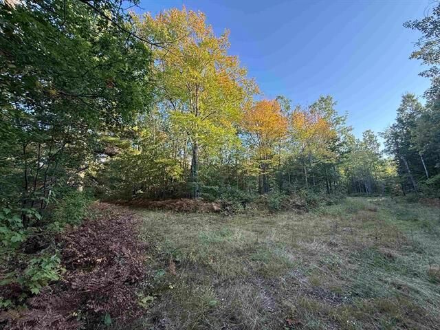 Property Photo: 000 US Hwy 2 WI 54847