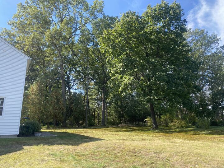Property Photo:  42 Cleveland Street  CT 06062 