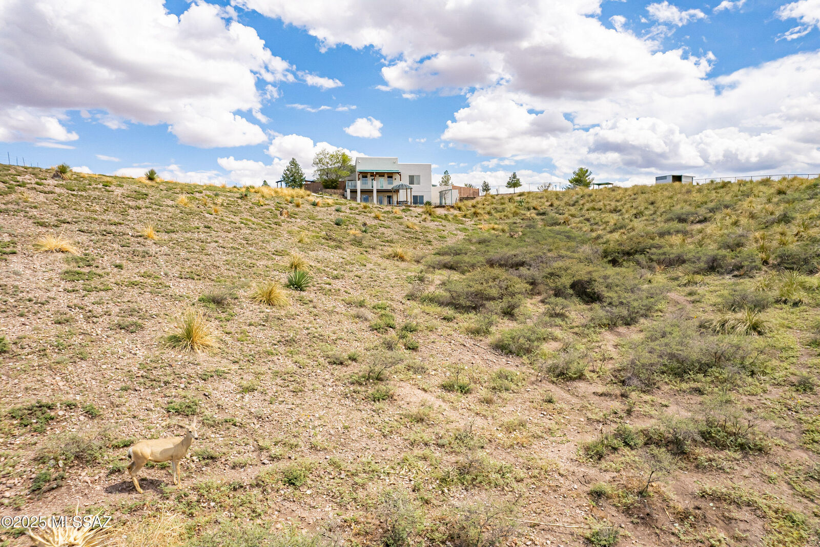 Property Photo: 98 Paint Trail AZ 85637