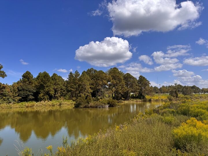 Property Photo:  50 Margaret Ln  GA 31793 