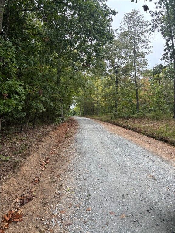 Property Photo: 0 Vineyard Drive SC 29620