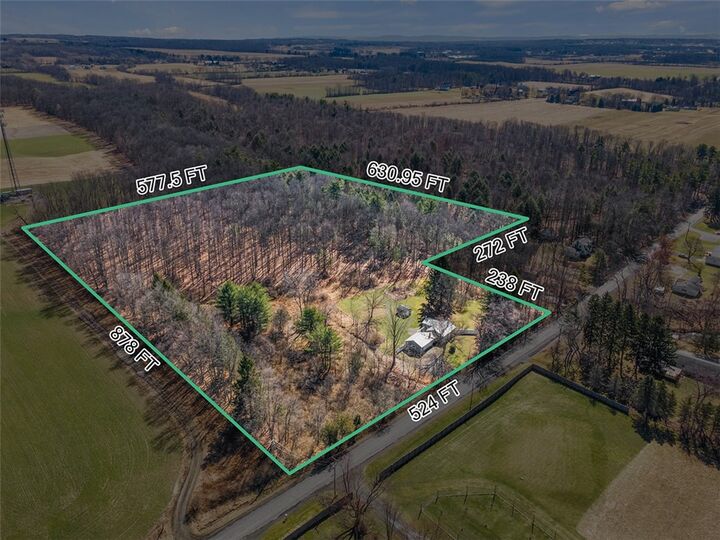 Property Photo:  395 Conlon Road  NY 14882 