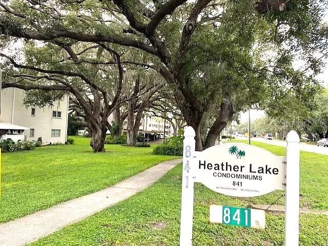 Property Photo:  841 Patricia Avenue 206  FL 34698 