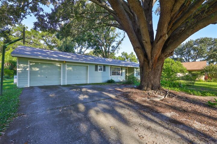 Property Photo:  306 Hollowtree Drive  FL 33584 