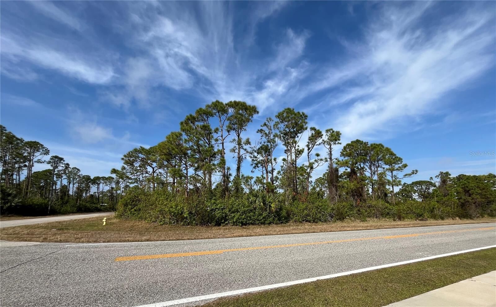 Property Photo: 14767 San Domingo Boulevard FL 33981
