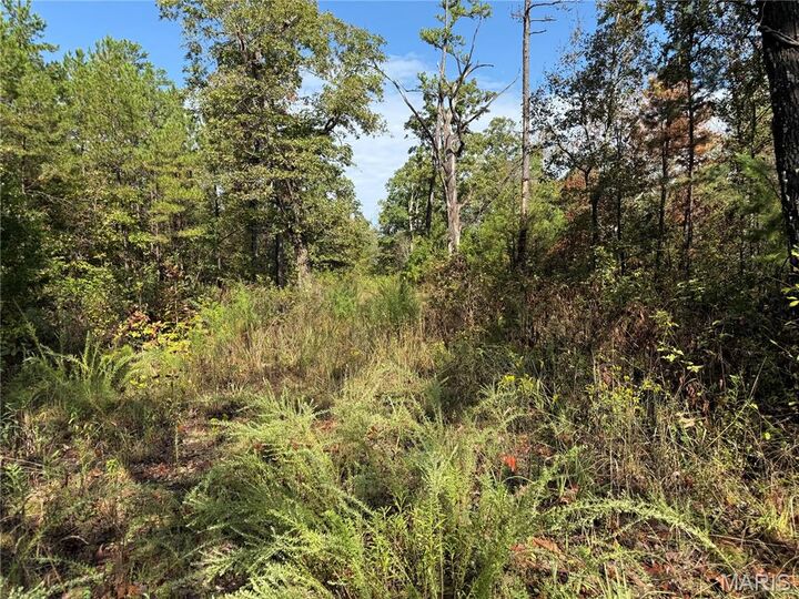 Property Photo:  0 Wayne Highway D  MO 63944 