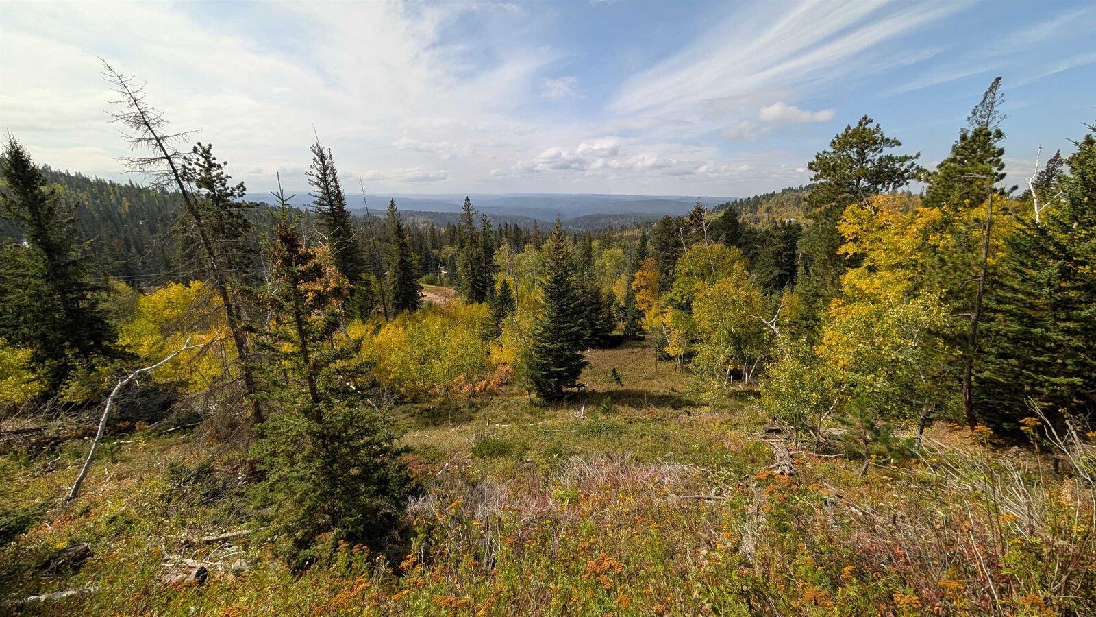 Property Photo: Ms 2066 Moose Trail SD 57754