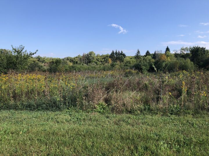 Property Photo:  8 Alexandra Drive  IL 60048