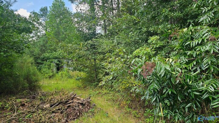 Property Photo:  115 Christian Way  AL 35954 