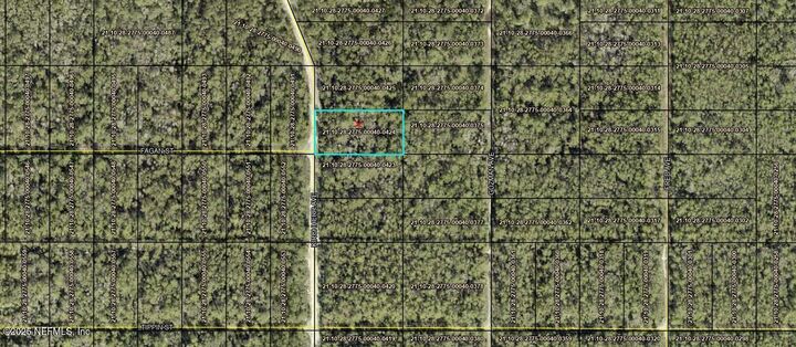 Property Photo:  0 Kirchherr Avenue  FL 32145 