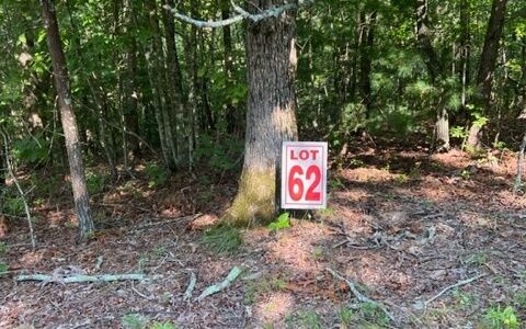 Property Photo:  Lt61&62 Honeysuckle Way  GA 30540 