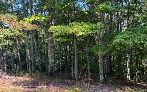 Property Photo:  Lt 60 Honeysuckle Way  GA 30540 