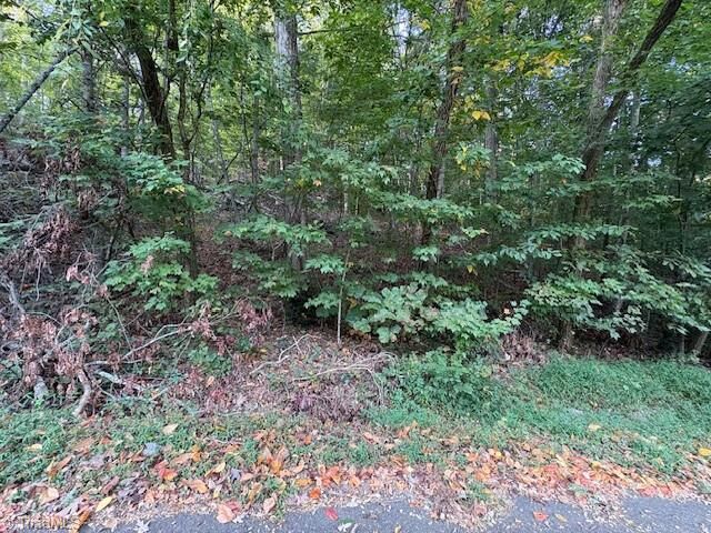 Property Photo:  Tbd Holly Tree Drive  NC 28697 