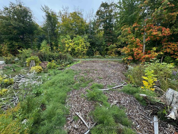 Property Photo:  Lot 13 Old 26 Highway  ON N4L 1W7 