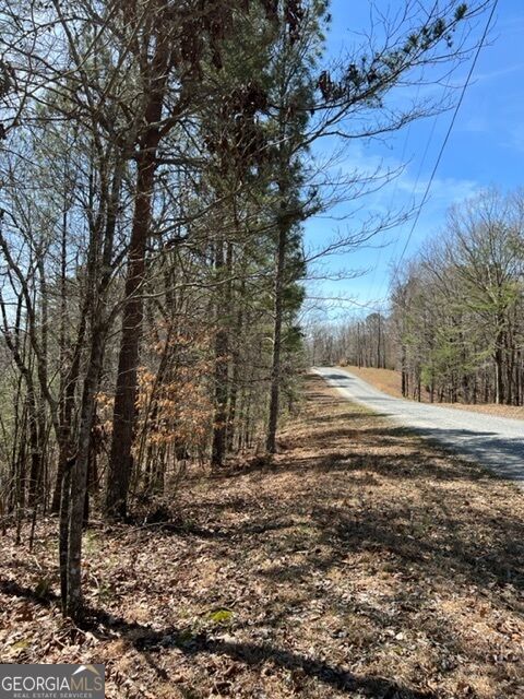 Property Photo:  Lot 4 Hunter Ridge  GA 30540 