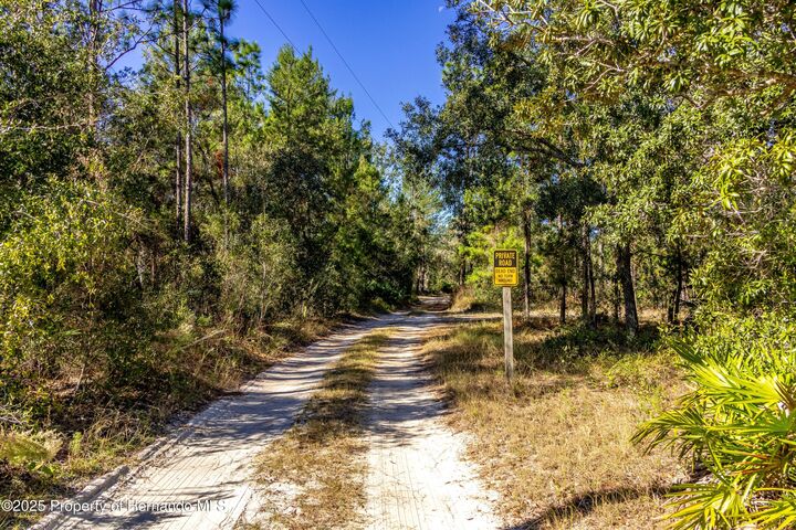 Property Photo:  12060 Ehrenwald Drive  FL 34613 