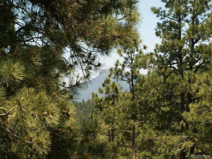 Property Photo: 33161 Gallinas Pkwy CO 81082