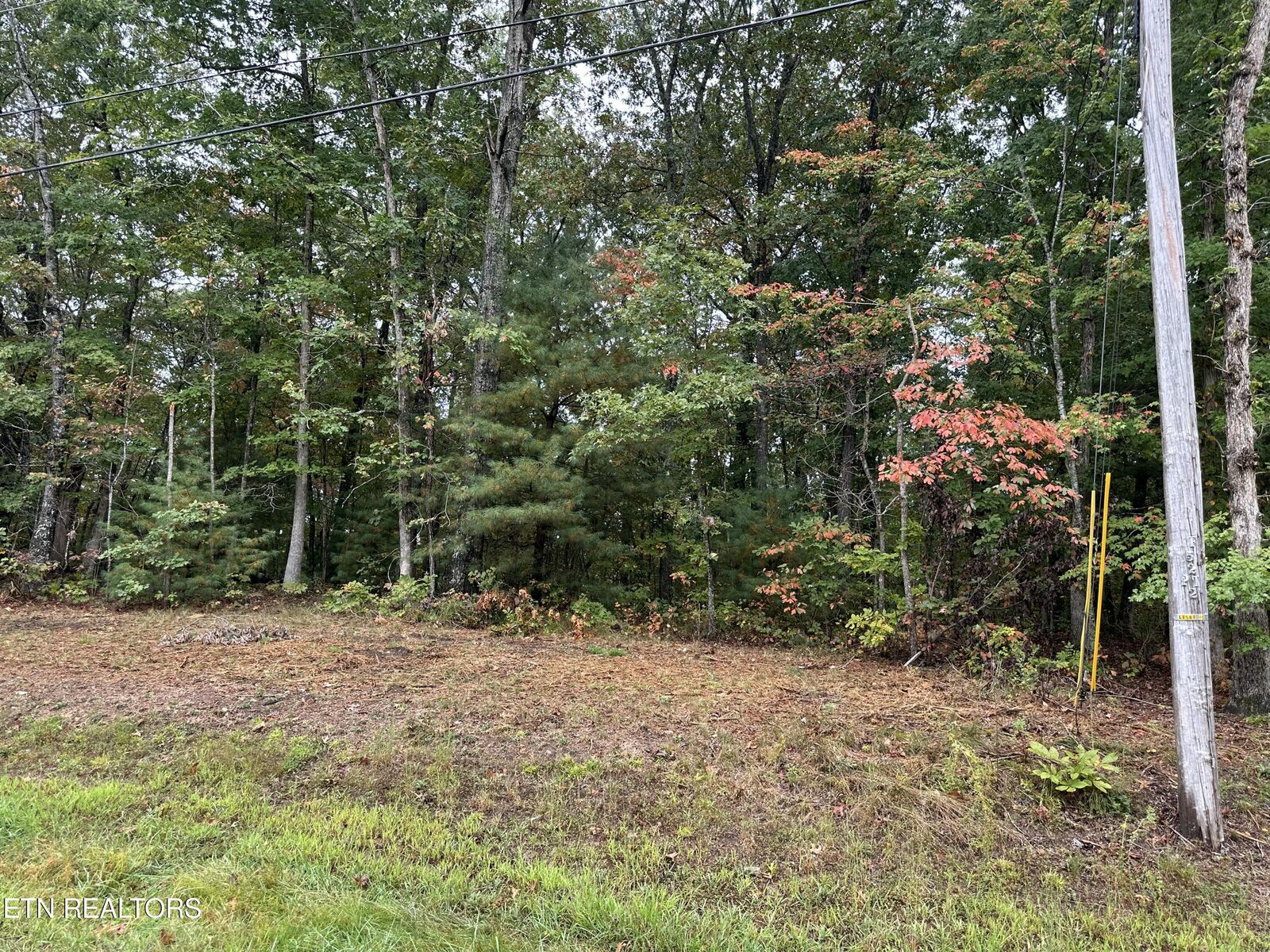 Property Photo:  149 Brambleton Drive  TN 38558 