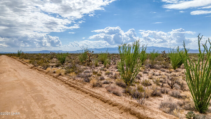 Property Photo:  3607 S Kit Carson Rd  AZ 86438 