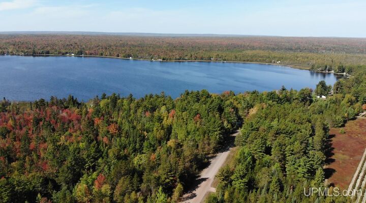 Property Photo:  Tbd 1 Rice Lake Road  MI 49945 
