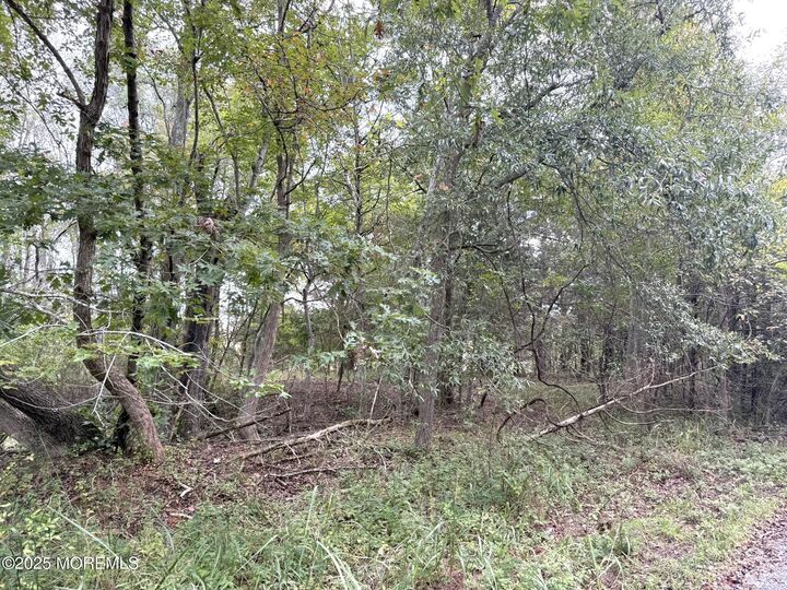 Property Photo:  11 Persimmon Drive  NJ 08087 