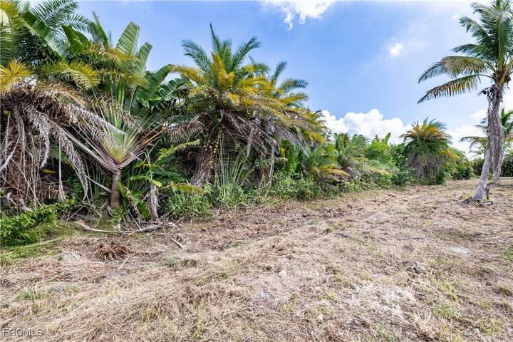 Property Photo:  12549 Tiffany Road  FL 33922 
