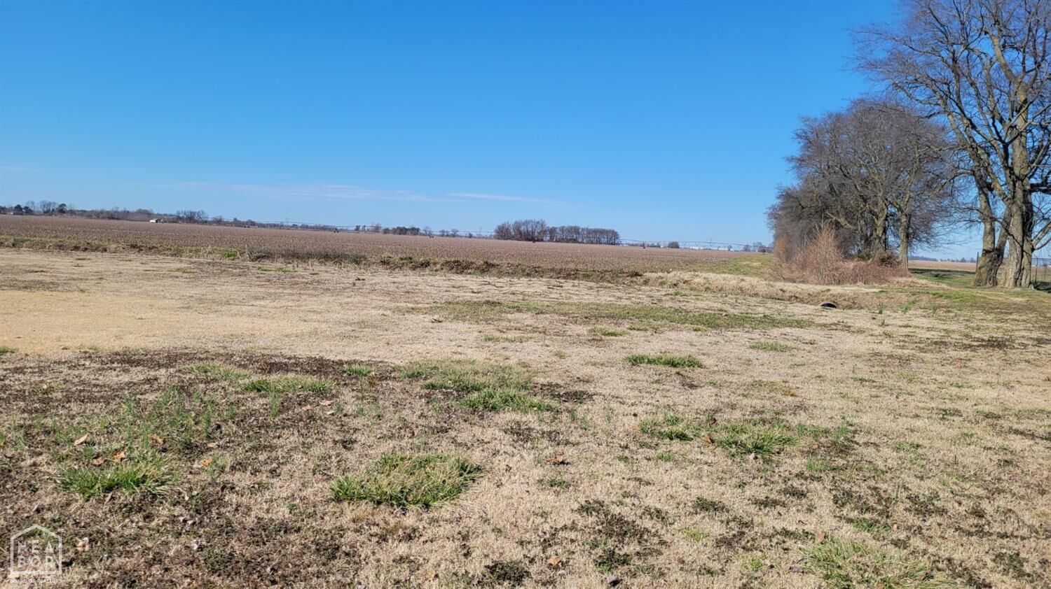Property Photo: 1 Rosemary AR 72411