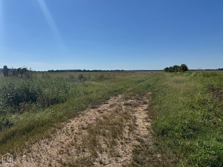 Property Photo: 619 Flag Slough Lane AR 72479